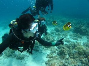 沖縄　ダイビング