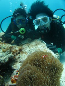 沖縄　ダイビング