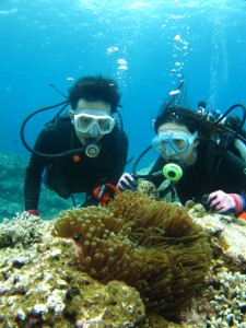 沖縄　ダイビング