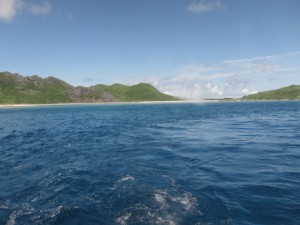 沖縄　ダイビング