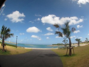 沖縄　ダイビング　那覇シーサイド