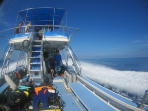 沖縄　ダイビング　慶良間