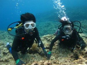 沖縄　ダイビング　慶良間