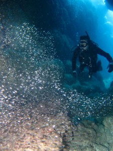 沖縄　ダイビング