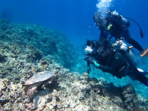 沖縄　ダイビング
