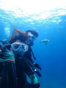 沖縄 ダイビング