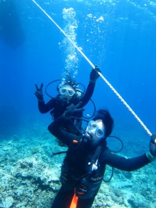 沖縄　ダイビング