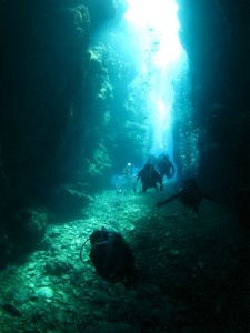 沖縄　ダイビング