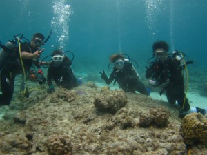 沖縄　ダイビング