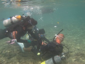 沖縄 ダイビング 真栄田岬