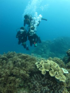 沖縄　ダイビング