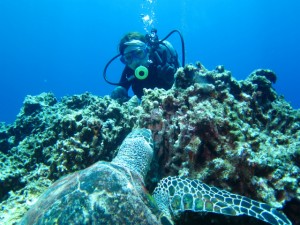沖縄　ダイビング