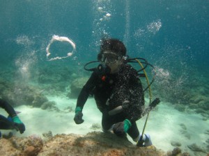 沖縄　ダイビング