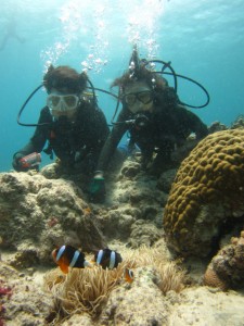 沖縄　ダイビング　慶良間