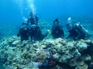 沖縄　ダイビング