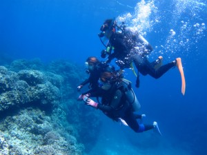 沖縄　ダイビング