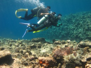 沖縄　ダイビング