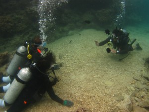 沖縄　ダイビング