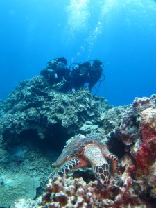 沖縄　体験ダイビング