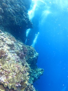 沖縄　ダイビング