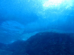 沖縄　ダイビング