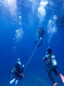 沖縄　ダイビング