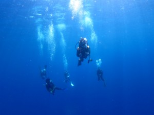 沖縄　ダイビング