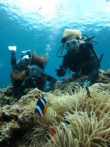 沖縄　ダイビング　青の洞窟　真栄田岬