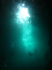 沖縄　ダイビング　青の洞窟　真栄田岬