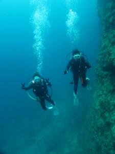 沖縄　ダイビング　青の洞窟　真栄田岬