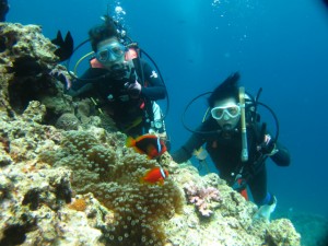 沖縄　ダイビング　青の洞窟　真栄田岬