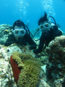 沖縄　ダイビング　慶良間　ニモ　カクレクマノミ