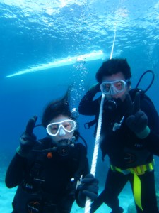 沖縄　ダイビング　慶良間