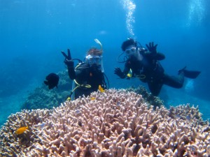 沖縄　ダイビング