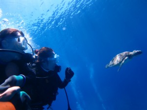 沖縄　体験ダイビング