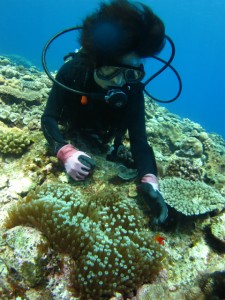 沖縄 ダイビング 慶良間