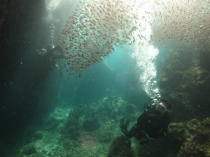 沖縄　ダイビング　ライセンス