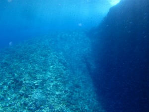 沖縄　ダイビング　慶良間