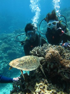 沖縄　ダイビング　慶良間　ウミガメ