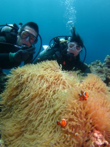 沖縄　体験ダイビング