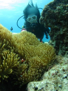 沖縄　ダイビング　慶良間