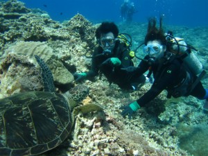 沖縄　ダイビング　慶良間　ウミガメ