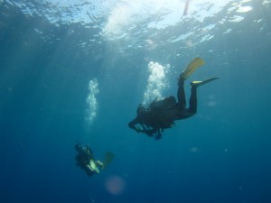 沖縄　ダイビング　恩納村