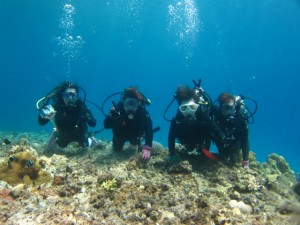 沖縄　ダイビング　慶良間