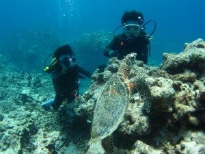 沖縄　体験ダイビング