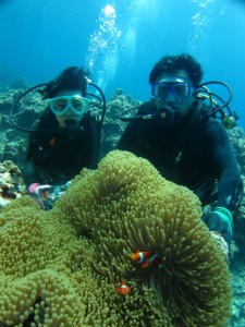 沖縄　ダイビング　慶良間