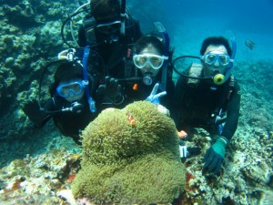 沖縄　ダイビング　慶良間