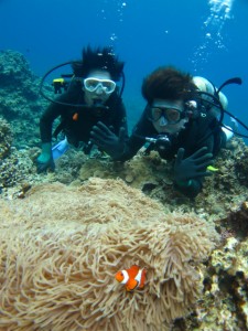 沖縄　ダイビング　慶良間