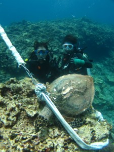 沖縄　ダイビング　慶良間