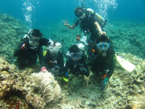 沖縄　ダイビング　慶良間